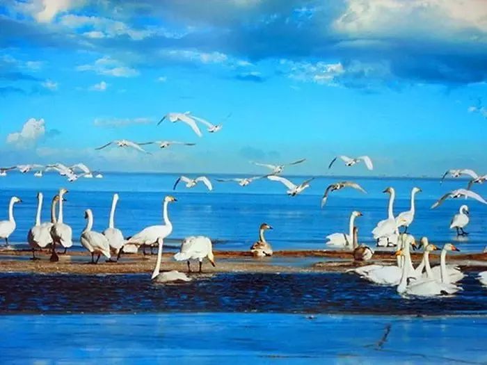 每天學風水:衛生間的風水決定著整個家庭的財運!