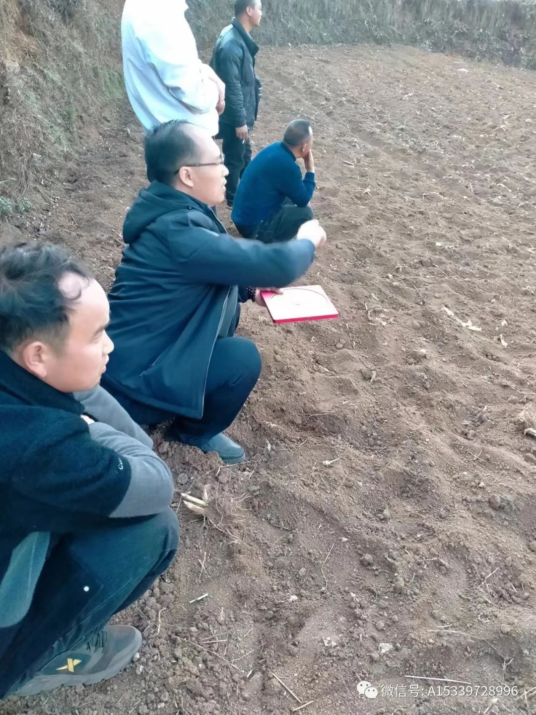 鳳凰展翅地理環境