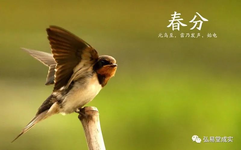 今日迎來:二十四節氣——春分