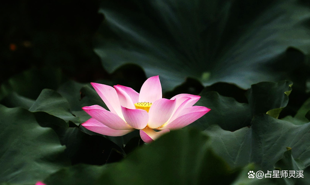 3月23日冥王星換到水瓶座，未來幾年哪些星座走大運呢？