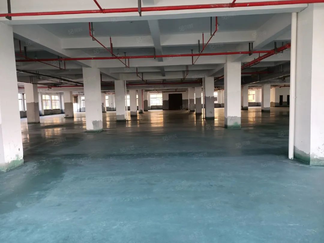 風水說：廠房風水布局好，招財進寶！