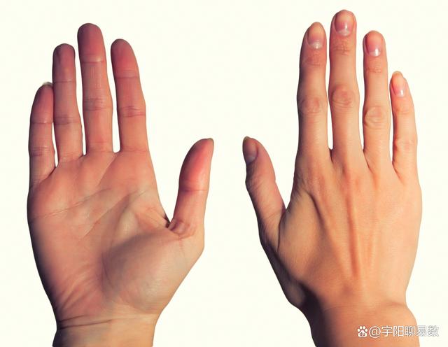太準了！手上有佛眼紋，智慧脫俗，可得財神眷顧！