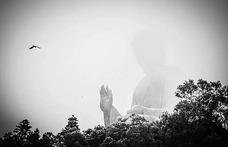 古今風水君講生肖，這些屬相果然不一般！