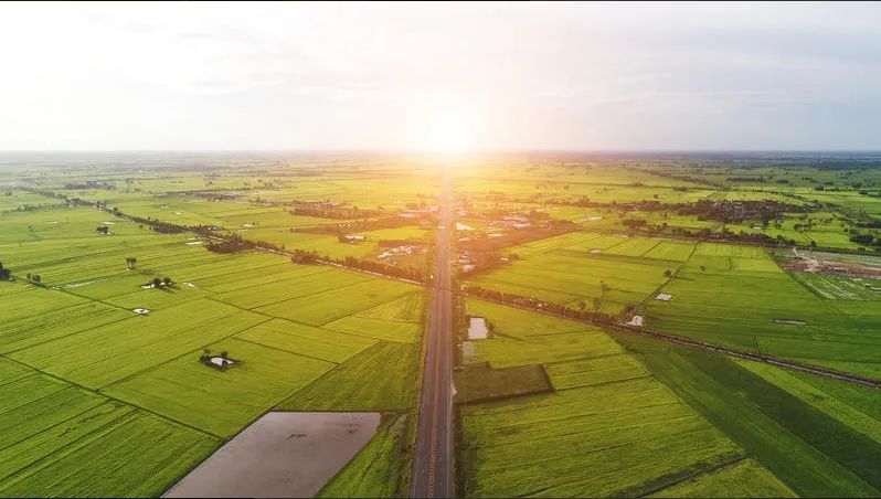 最全點穴的口決觀星斗白話解釋。