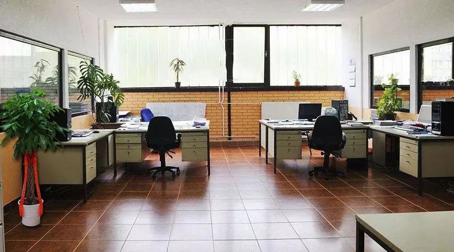 發財樹一定要這麼擺