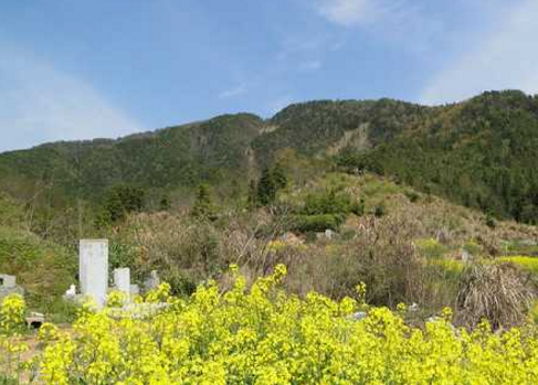 論龍脈的真與假，墳墓風水大有學問！