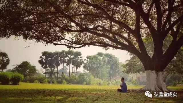 今日迎來:二十四節氣——春分