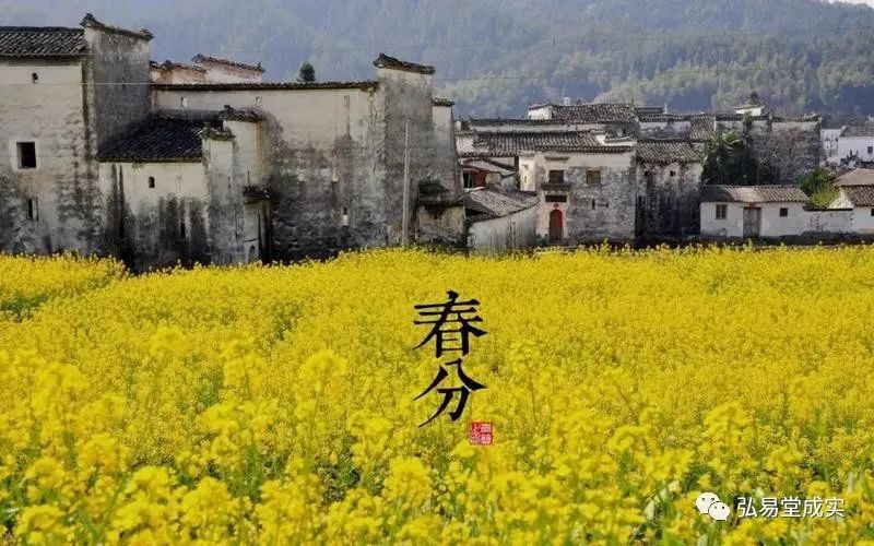 今日迎來:二十四節氣——春分