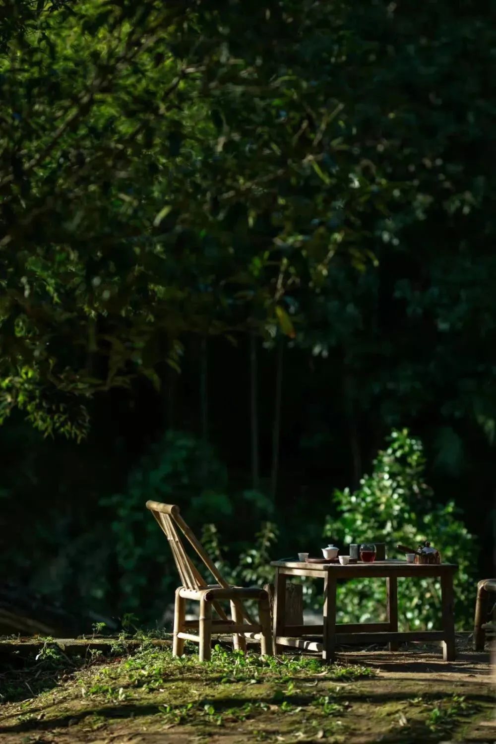 “苦 命之人”，張口閉口都是這4句話，一看便知！