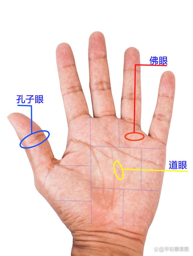 太準了！手上有佛眼紋，智慧脫俗，可得財神眷顧！