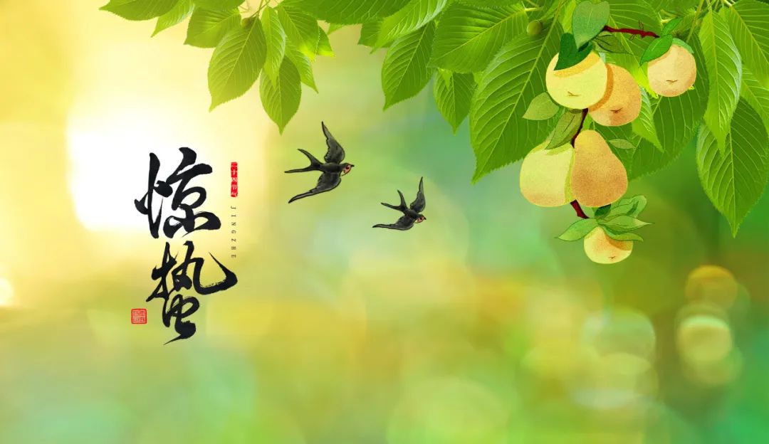 驚蟄節氣,是時候喚醒你的陽氣了!祛除邪氣,開運驅小人的好時機!