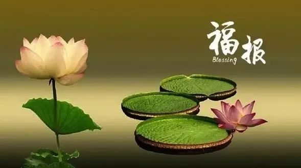 什麼八字的人最有福報,看看有你嗎?