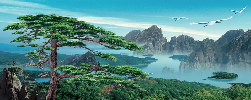 手機尾號為什麼越大越貴 怎麼選合適的手機號