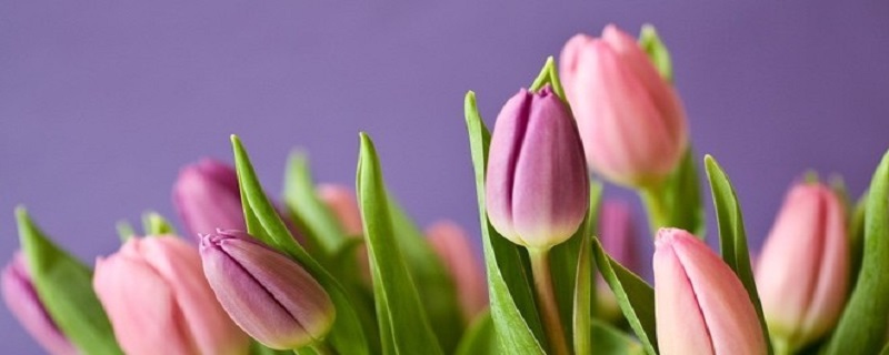 2023年癸卯年九宮飛星圖 病符位在什麼方位