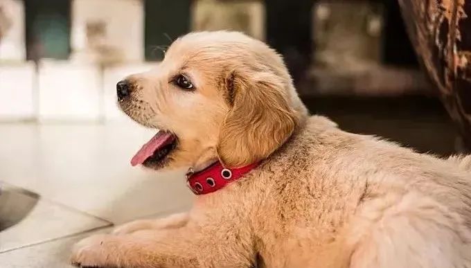 家門口出現這3大現象，說明貝才神爺要來你家串門了！