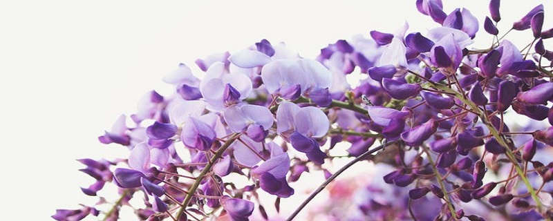 為什麼車牌號尾數越大越好 車牌號最忌諱哪個數字