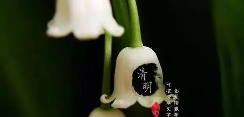 清明節，這些風水禁忌必須知道！