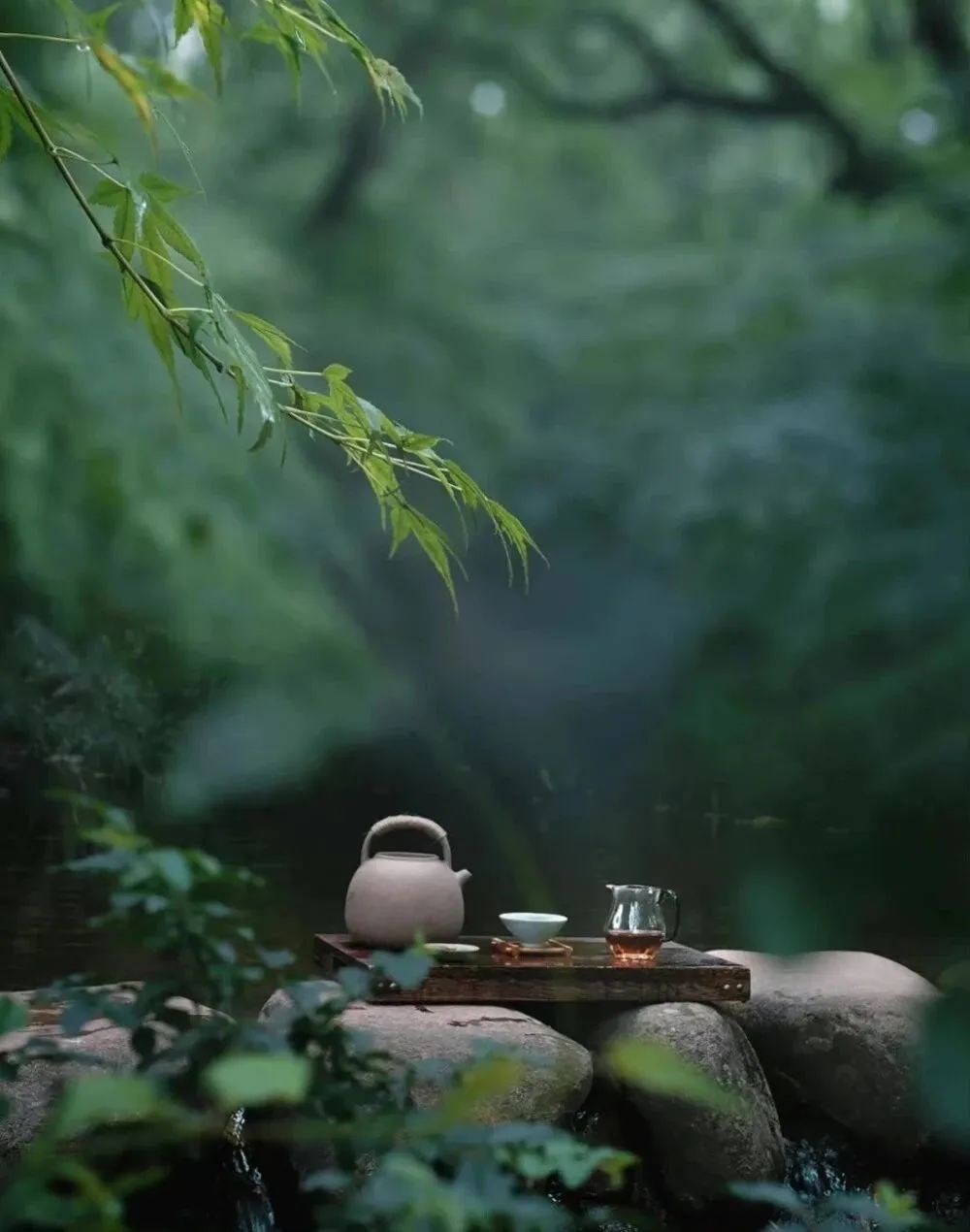 “苦 命之人”，張口閉口都是這4句話，一看便知！