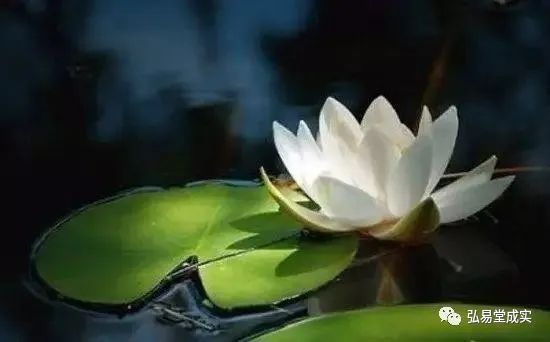 八字:陰德厚重的人有什麼特徵?