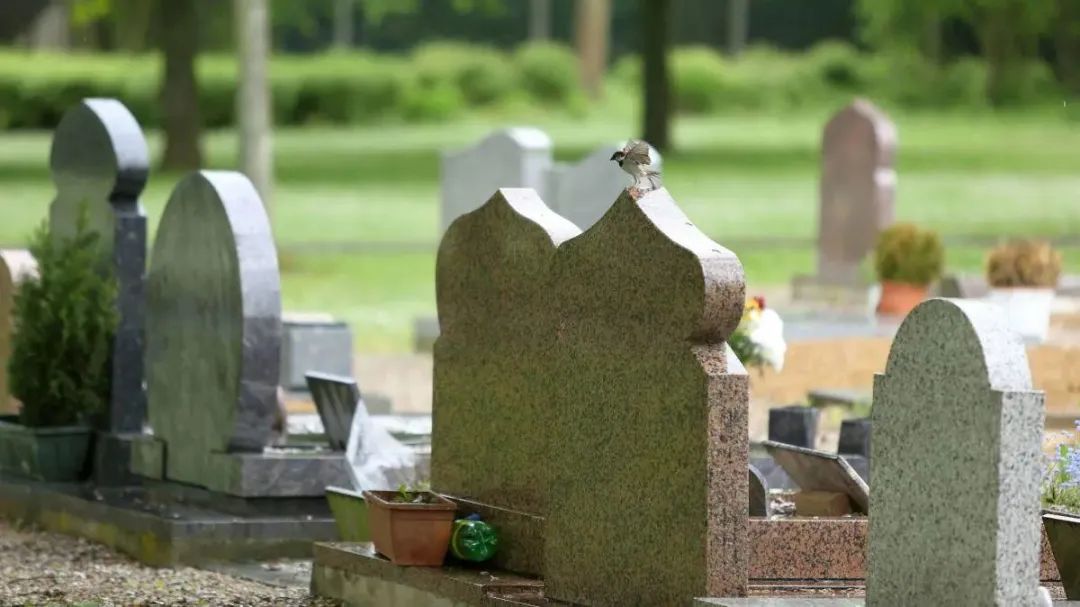 土葬和骨灰下葬，這些地方千萬要注意！