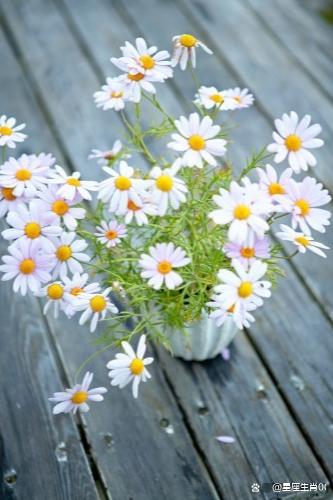 天馬行空,雜亂無章,內心不太安分,做事不專註