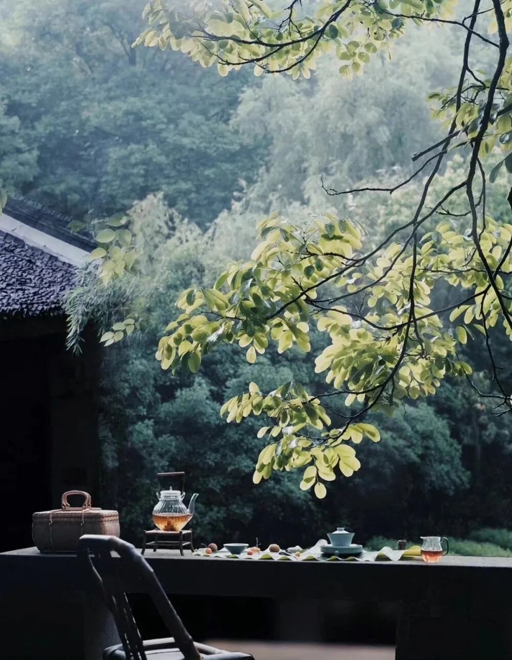 “苦 命之人”，張口閉口都是這4句話，一看便知！