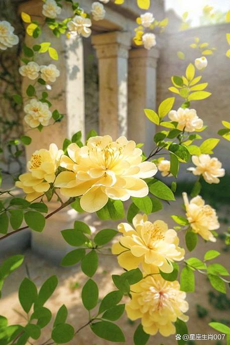 年月官殺，發生早戀，官殺為用，未來丈夫條件一般