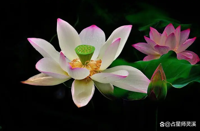 3月23日冥王星換到水瓶座，未來幾年哪些星座走大運呢？