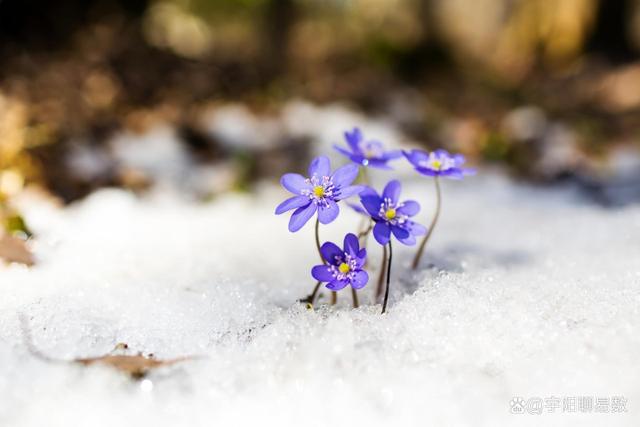 乙丑人的城府有多深?天蠍座也自嘆不如!格局真的小了!