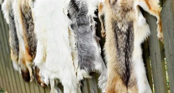 家中有七不擺,是哪七樣,你知道嗎?