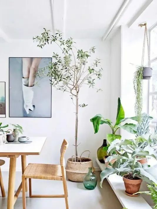 七大漏財風水，一定要改掉！