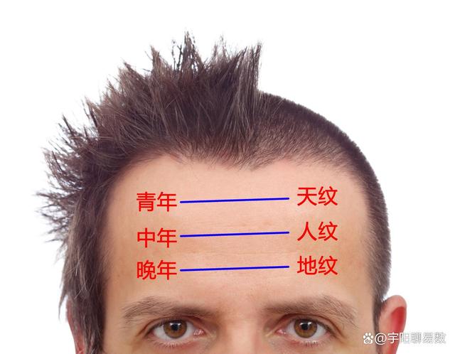 這才是標準的額頭紋,俗稱三奇成才紋,看看自己有沒有?