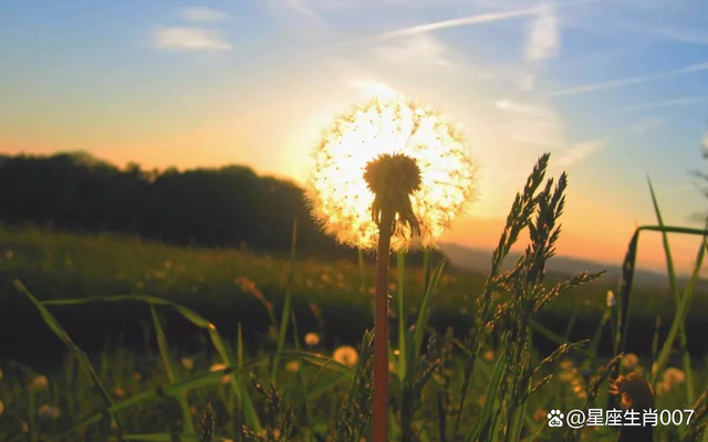 用神受損，考學運走低，容易錯失良機