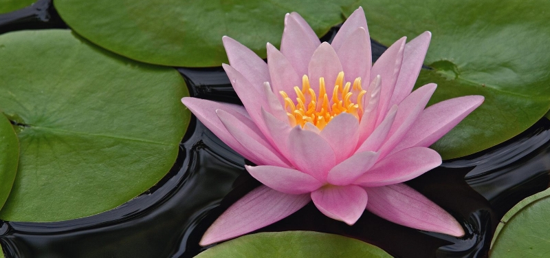 100分大吉手機號碼 手機號碼怎麼看命運