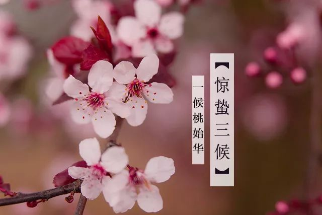 驚蟄節氣,是時候喚醒你的陽氣了!祛除邪氣,開運驅小人的好時機!