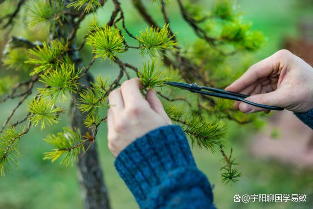 甲申人，金戈鐵馬一生，莫忘牽手挖井人！