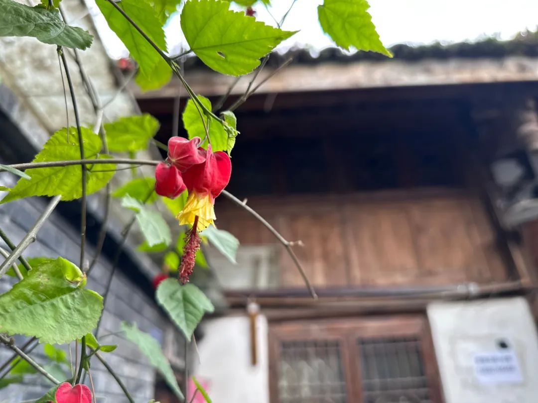 曾仕強：自然災害發生前都有徵兆